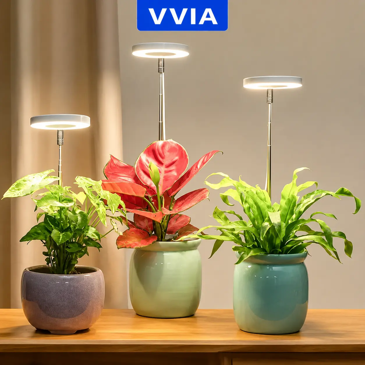 Full Spectrum Indoor Plant Grow Light - Enhanced Detachable Stand, Height Adjustable, 3-Level Dimmer, 3/9/12H Timer - Perfect for Small Plant Growth Usb light
