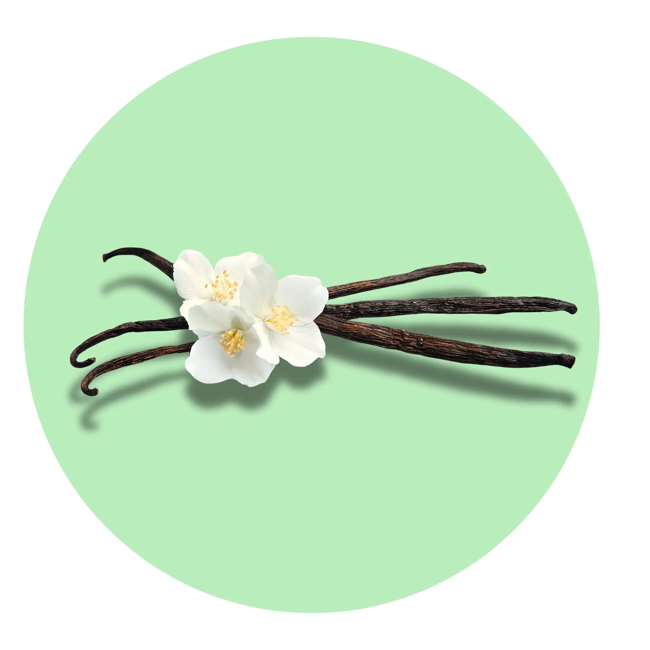 Vanilla - Solid Fragrance Pod - Scented Aroma Freshener with Floral and Fig Notes
