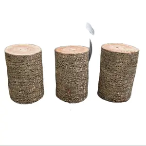 Tronco de Ochosi de almendra | almond tree trunk for oshosi ochosi tools | Palo de Almendra | Pedestal | Herramientas de Oshosi / wood log