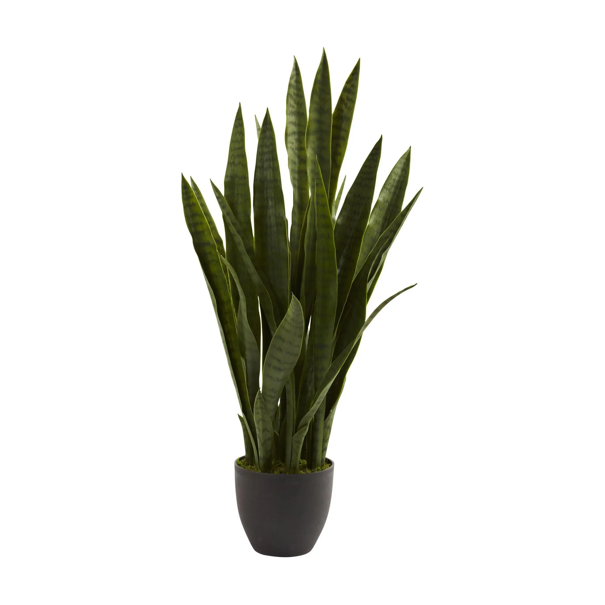 Sansevieria w/Black Planter by Nearly Natural