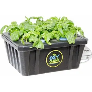 212 MAIN Oxyclone Recirculating Cloning System - 20-Unit Hydroponic Growing System, Compact, for Indoor Use