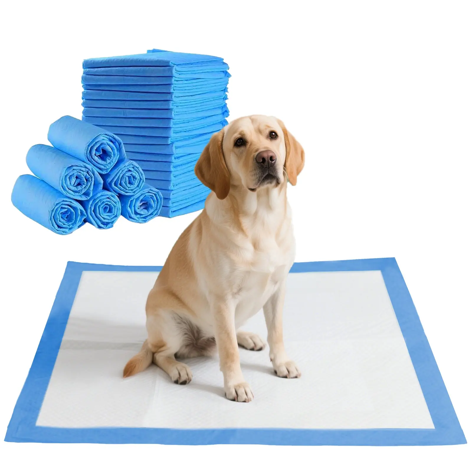 GoofyPet Training Pad Multi Sizes, High Absorbency Dog Pee Pads, Doggie Pads, Disposable Puppy Pee Pads