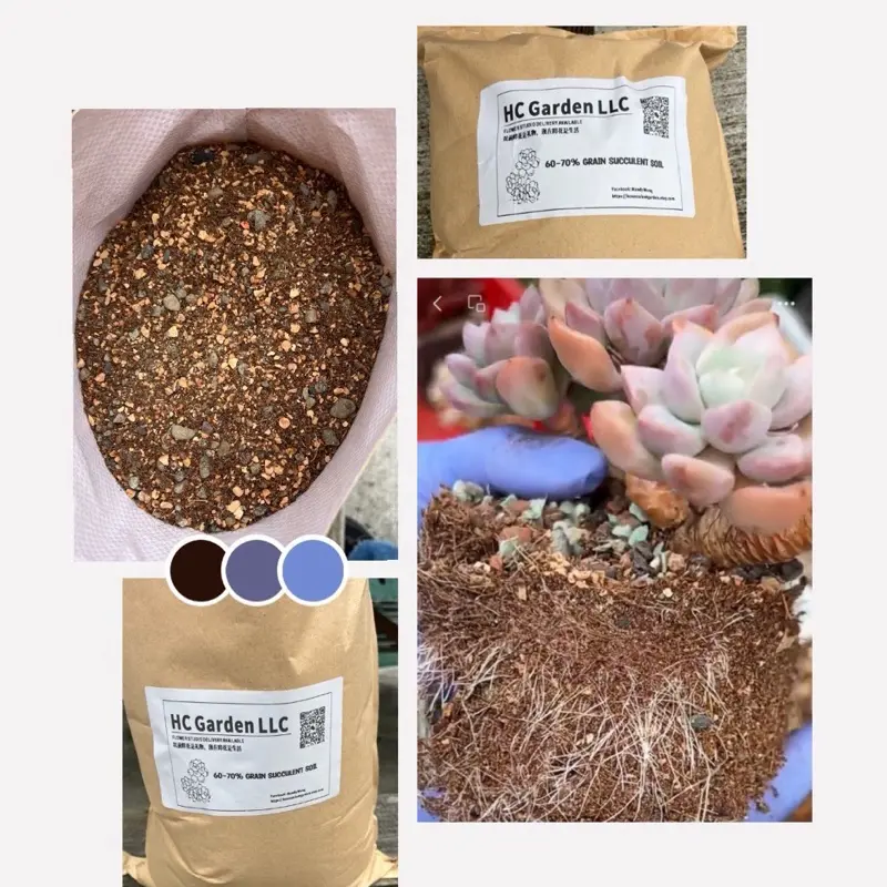 HC Garden LLC Premium Succulent Soil Mix for Indoor & Outdoor Plants - Fast-Draining Potting Soil with Pumice for Optimal Growth - 60% Granular Soil 17lb Bag