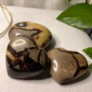 Septarian 2.5 Heart Palmstone Crystal - Grounding Dragon Stone for Chakra Activation & Emotional Healing - Tri Color Concretion of Aragonite Calcite & Limestone