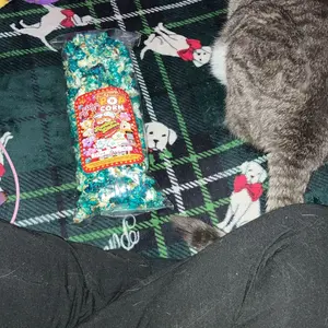 Old Fashioned Gourmet Popcorn - Handcrafted Small Batch Artisan Delight with Crunchy Flavor Variety