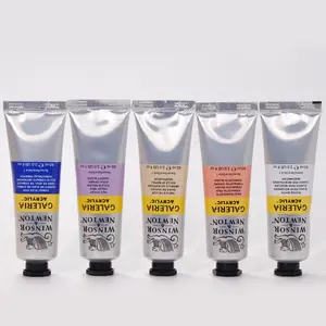 Windsor Newton Gallery Acrylic Paints 60ML Artist Single Bottle Fluid Painting Hand Drawn DIY Waterproof Art Creation Set of 6 Acrylic Art Kit