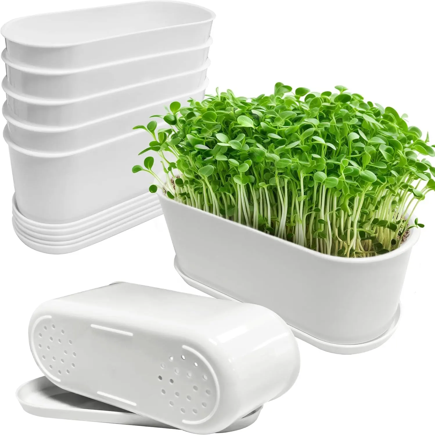 5 Set Window Herb Planter Box Rectangular,8.5x3.5 Inch White Plastic Planters with Multiple Drainage Holes and Trays,Indoor Succulent Cactus Mint Flower Pot for Windowsill,Garden Balcony