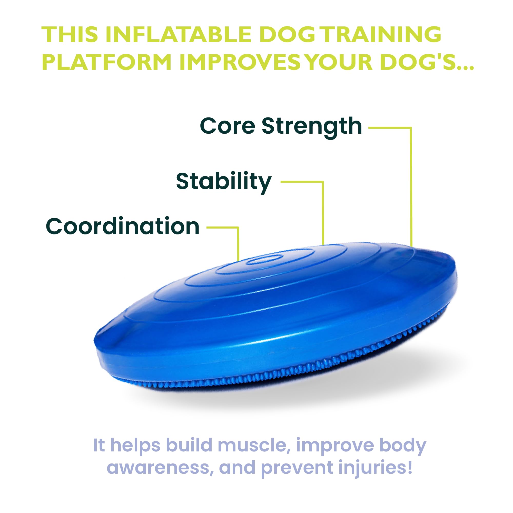 Pet Sensory Balancing Disc, Stability Wobble Cushion for Dogs, Improves Coordination & Core Strength, Dog Workout Tool