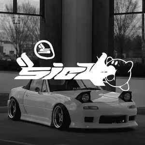 Cartoon Stickers, Car Stickers, Vinyl Decals - For Cars, Trucks, Walls, Laptops, Windows, Motorcycles for your car décor