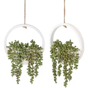 2 count Artificial  Hanging  12.2''  String of  in Pot with 8.3'' Lanyard for Indoor Outdoor Wall Decor.