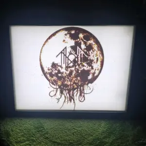 3D Printed Fan Token Lithophane with Touch Sensor On/Off Switch for Unique Decor