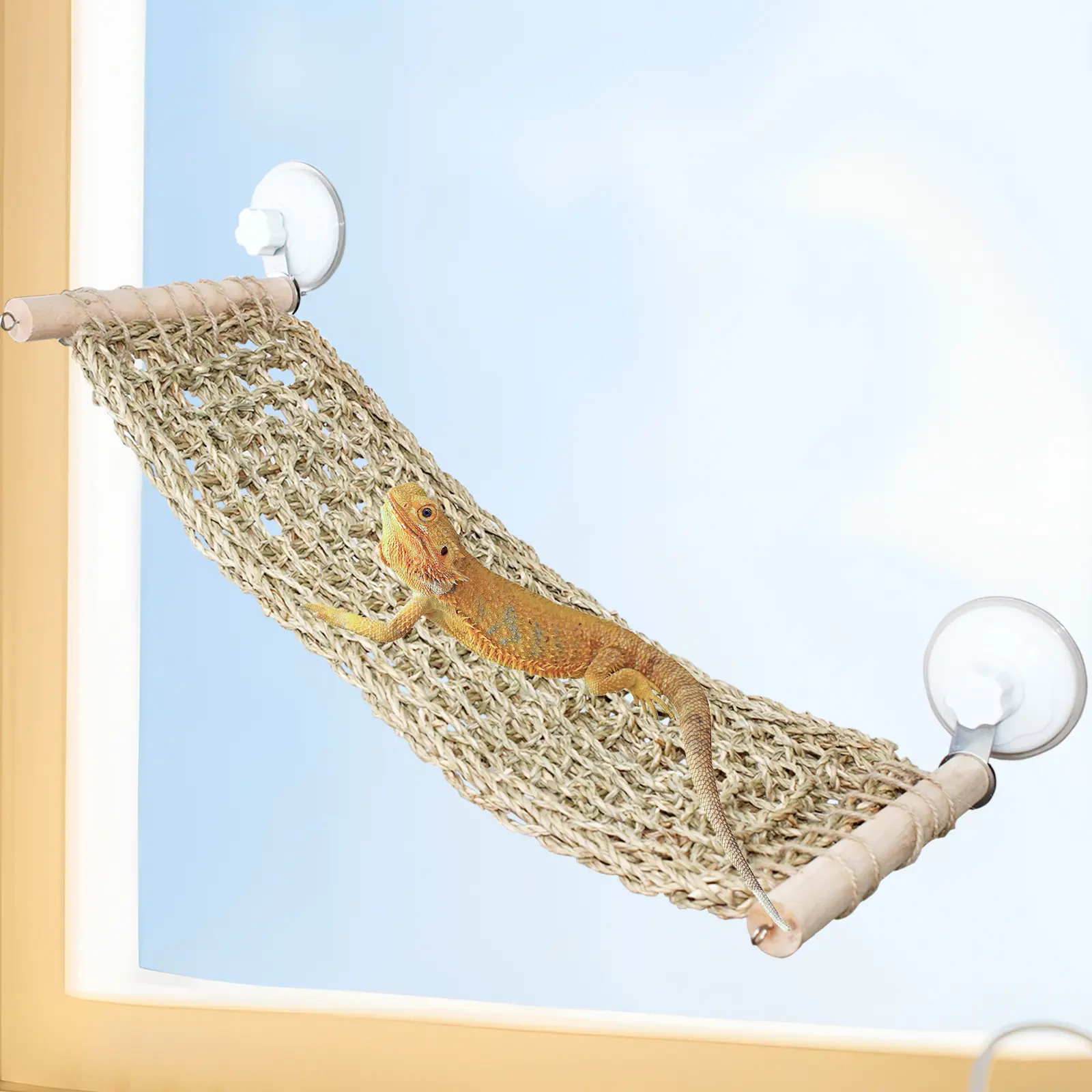 Large Lizard Seagrass Single Hammock - 21.6x7.8in Window Perch with Secure Suction Cups for Bearded Dragons, Leopard Geckos, Large Lizards, Natural Weave