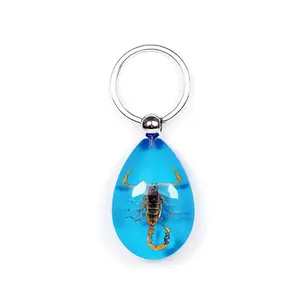 Real Bark Scorpion Keychain Teardrop Shape Blue Real Nature Gift