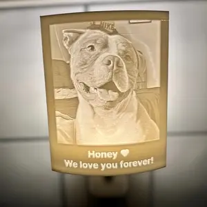 3D Printed Personalized  Light Lithophane, Ideal Gift for weddings, anniversaries, pets, graduations, holidays, Christmas, Mother's Day, Valentine's Day  lamps  lamps