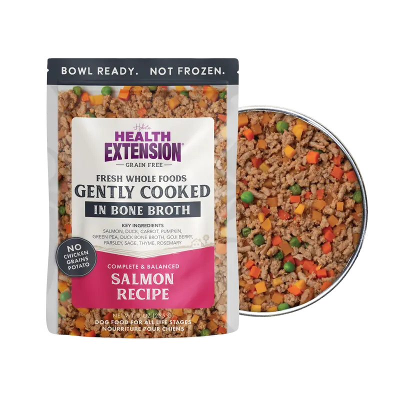 Health Extension Gently Cooked, Grain-Free, Natural Wet Salmon Dog Food - 3 oz (9oz Pouches Option), 30g Servings, Rosemary, Parsley, Vitamins, Bone Broth, Amino Acid for All Ages Balanced Meals