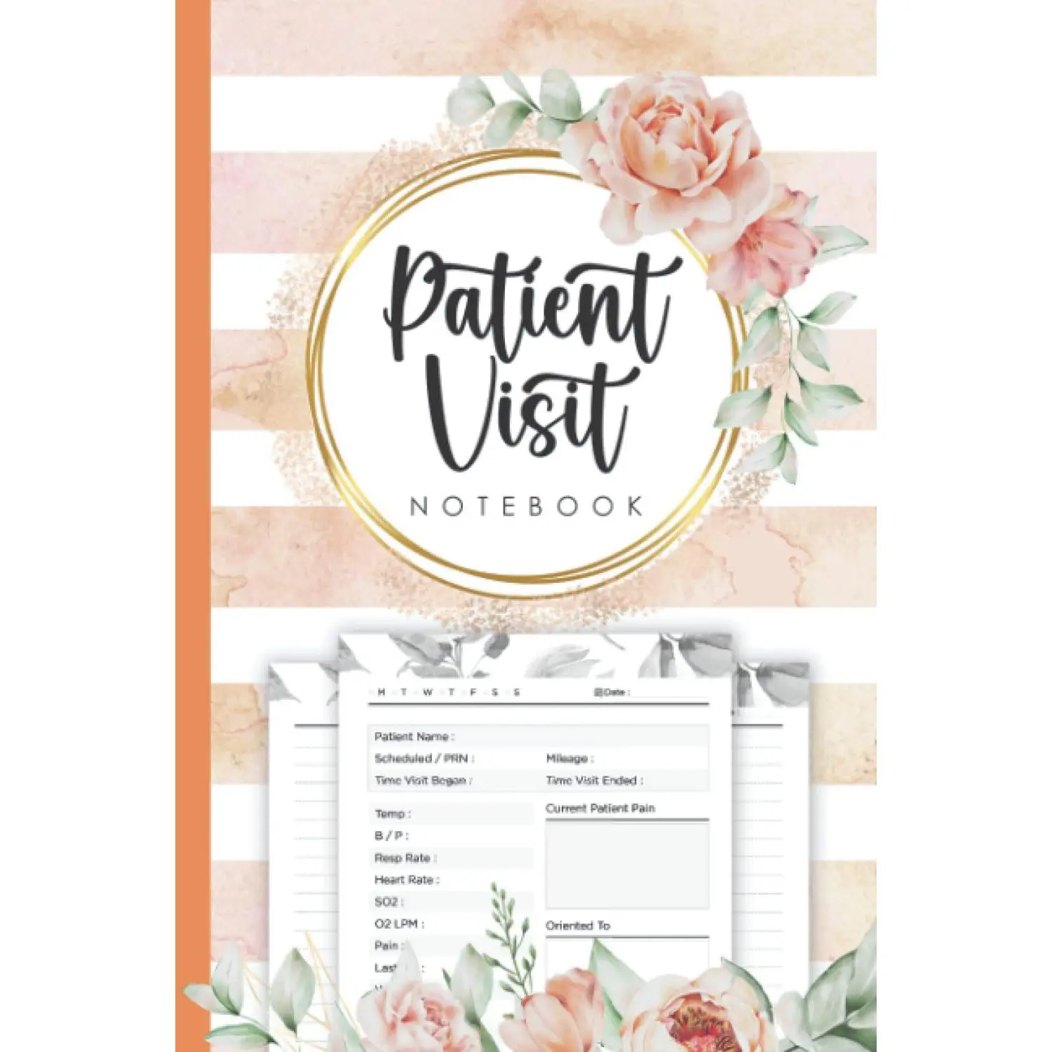 Patient Visit Notebook: Hospice Nurse Reference And Nursing Assessment Notebook(Sized 6"x9", 110 Pages) - Patient Visit Notes For Hospice Nurses, Doctors, andHealthcare Professionals