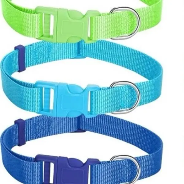 Personalized Large Dog Collars- 14"-24" In- High Visibility pet collar dog collar