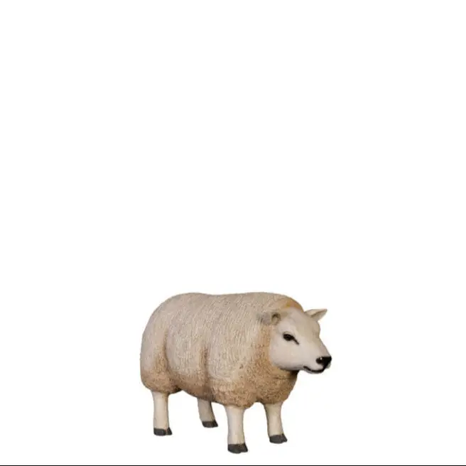 Texelaar Baby Sheep Life Size Statue