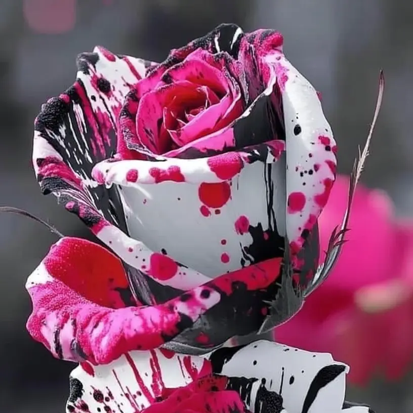 Unique Painted Roses – Add a Splash of Color to Your Garden Unique Painted Roses – Add a Splash of Color to Your Garden
