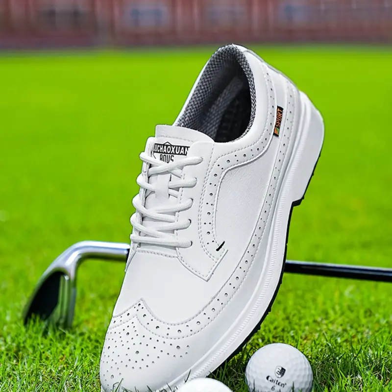 Men's Professional Golf Shoes, Golf Casual Shoes, Sports Shoes, Athletic Shoes, Comfortable No-Nail Design, Ideal for Outdoor Activities and Walking, All-Day Wear, Perfect for Golf Enthusiasts