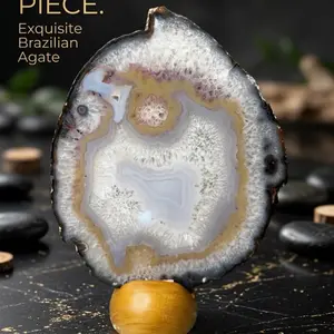 Exquisite Brazilian Agate Flower Agate Statement Piece Natural Gemstone Decorative Ornament