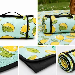 Water Resistant Foldable Picnic Blanket