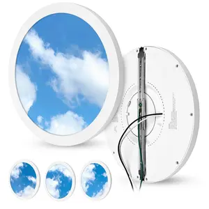 The Sky Downlight | 24 Watt | 1200 Lumens | Daylight White | 120Vac | 12 inch Round | IP20 | ETL Listed | 5 Year Warranty