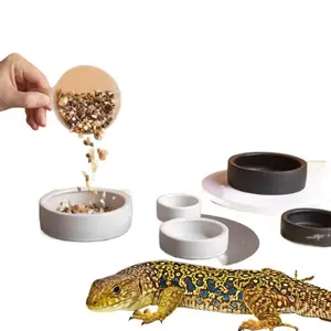 Live Mealworm Bowl Ceramic Escape Proof High Edge Feeder for Reptile Bearded Dragon Leopard Gecko Pet Treats Natural Dish
