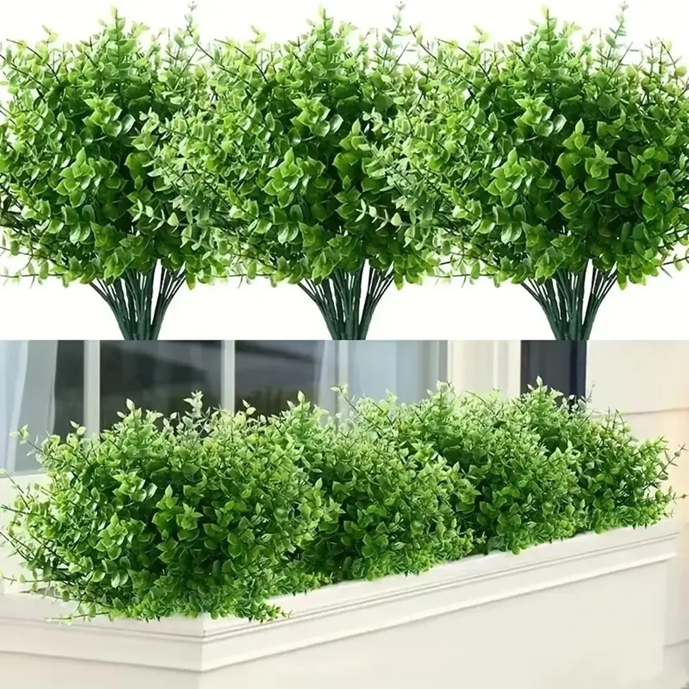 geldboom plant Pachira aquatica (Geldboom) kopen