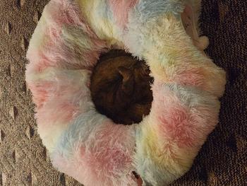 product review image from K**f 0