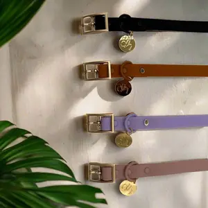 dh Designer PVC Collar & Leash Sets - Stylish Pet Accessories