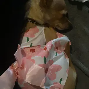 Pet Fashion 4Pcs/set Soft Sleeveless Floral Outfit for Cats & Dogs with Blue Bow & Pearl Detail Perfect for Daily Wear & Special Occasions