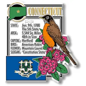 Connecticut State Montage Magnet by Classic Magnets, 2.9" x 3.2"