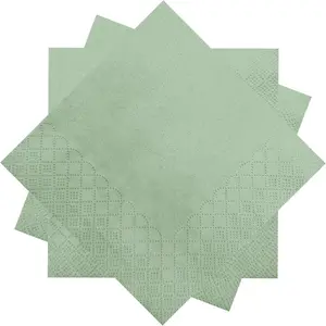 300 Count Sage Green Beverage Napkins,2-Ply Green  Napkins,Disposable Sage Green Party Napkins for Dinner Wedding Birthday Party