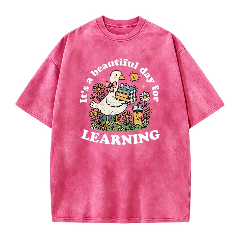 It’s a Beautiful Day for Learning Shirt – Cute Goose Teacher Tee – Back to School Shirt – Learning read shirt