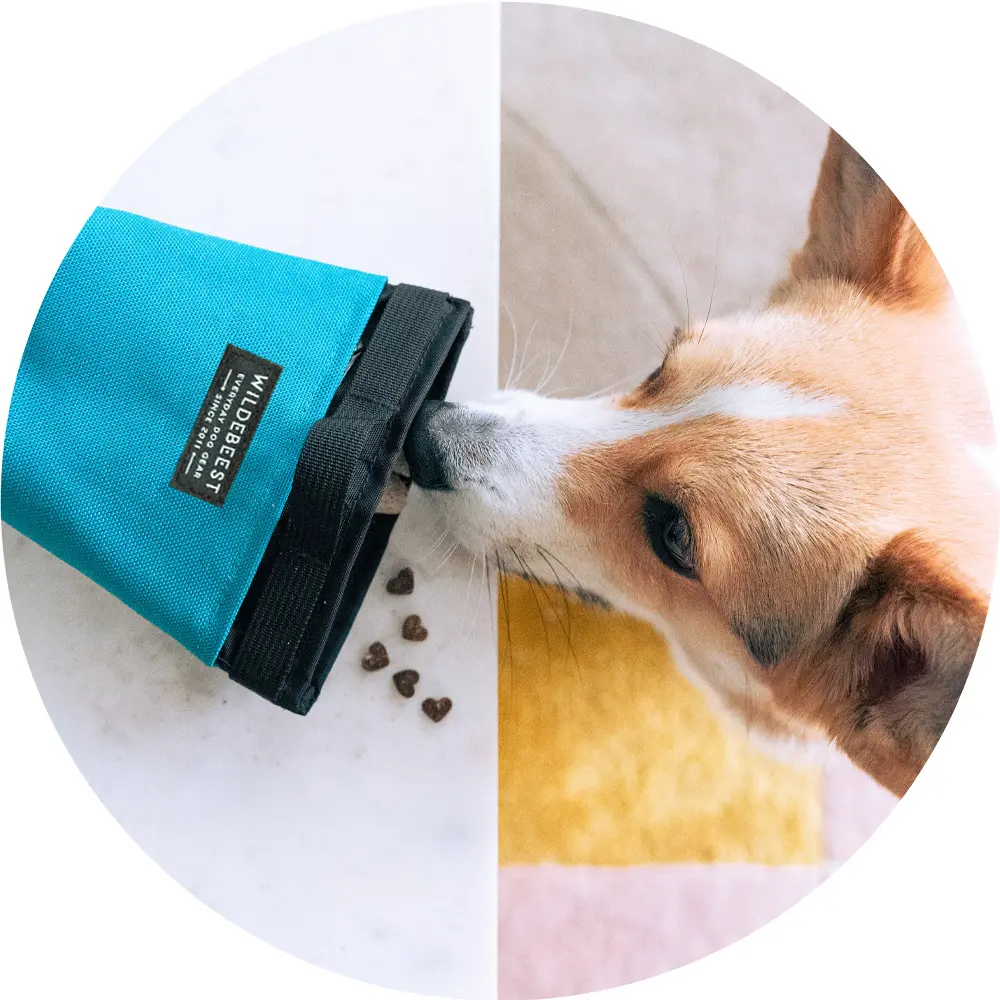 Alamo Dog Treat Pouch