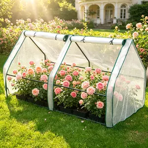 A set of horticultural greenhouse antifreeze plant succulent greenhouse insulation shed winter flower rain shed insulation room flower shed, plant greenhouse, insulation shed