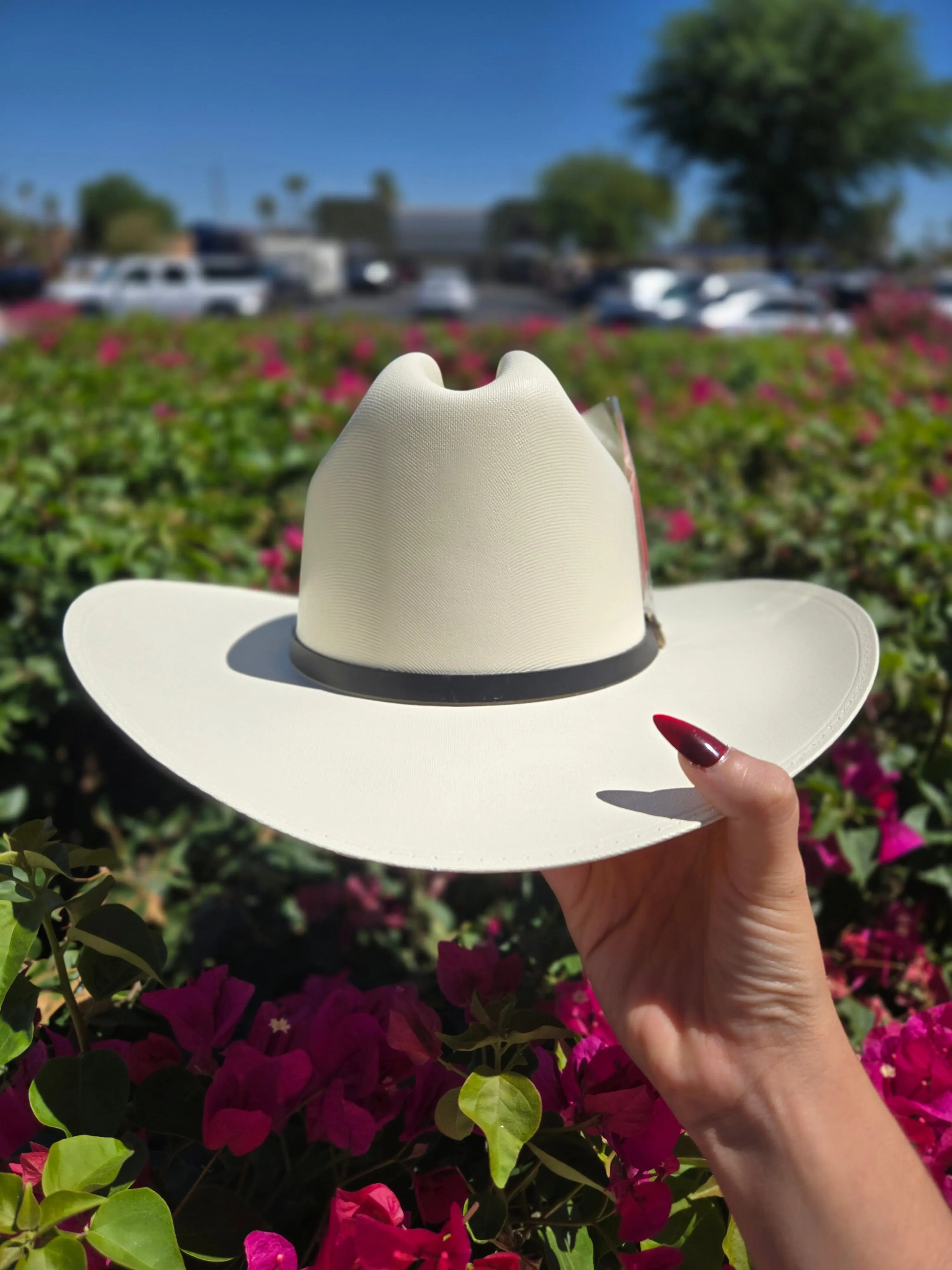 Panama 1000x Panter Master Telar Sombrero Straw Hat