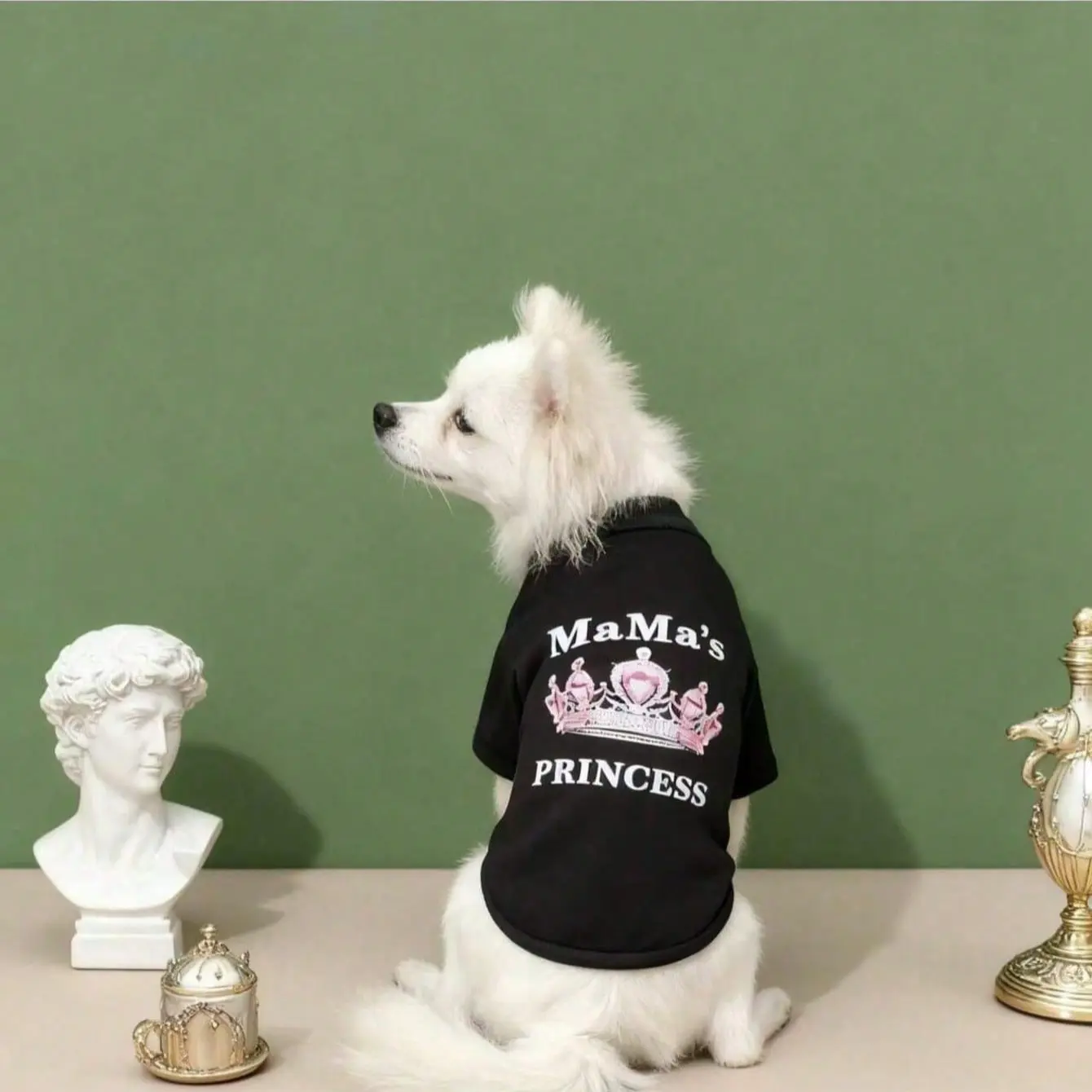 Pet Hoodie for Dogs/cats, Princess Print Pullover, Mom Style, Perfect Valentine's Gift, Cozy and Stylish Pet Apparel