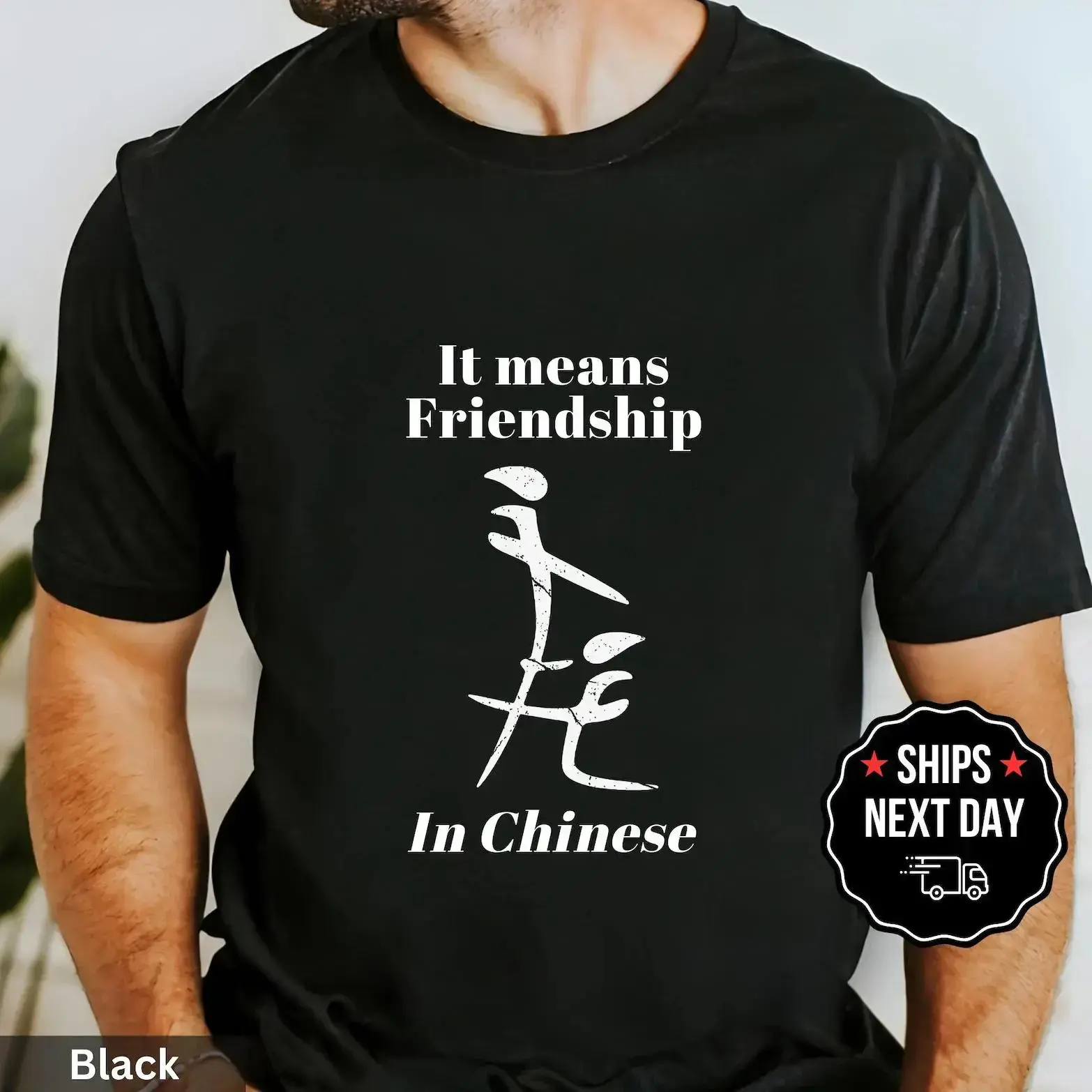 Funny It Means Friendship In Chinese T-Shirt, Adult Humor Sarcastic Tee, Rude Joke Graphic Shirt, Ironic Meme Gift, Gag Gift for Best Friendwwzz