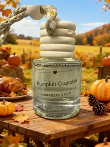 Pumpkin cupcake car diffuser