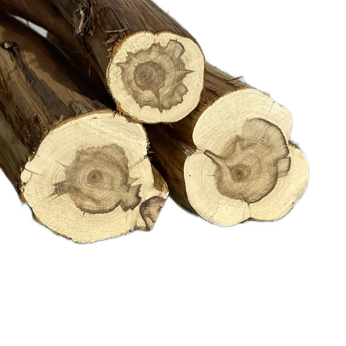 Juniper incense sticks Long-lasting