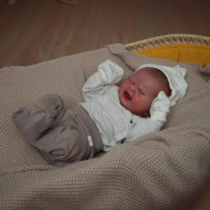 19inch Real Baby Dolls That Cry on Their Own Soft Silicone Head Limbs Cuddly Cotton Body Hand Painted Hair with Veins Acrylic Eyes Lifelike Reborn Stuffed Animal for Kids 3+ Water Resistant