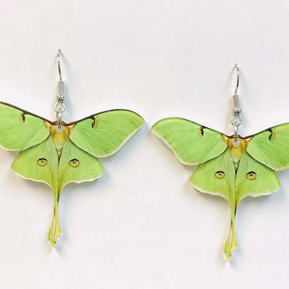 Moth earrings Moth earrings