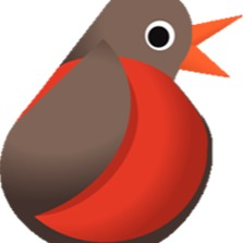RobinBoutique