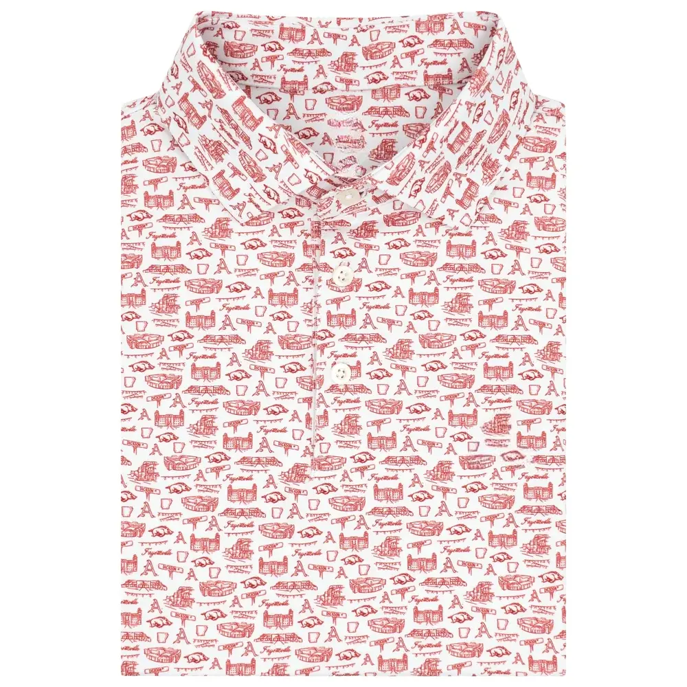 The Arkansas College Town Men's Short Sleeve Collegiate Polo, Polo 3D Unisex, Gif For Him