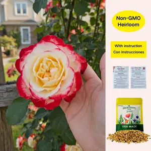 【Buy 2 Get 1 Free】200/1000pcs Rare Twin Red White Rose Flower Seeds for Planting - Captivating Garden Blooms Non GMO Heirloom Garden - Planting Instructions for Easy Grow - Great Gardening Gifts