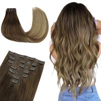 #3/8/613 Bleach Blonde Balayage