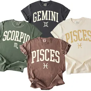 All 12 Zodiac Sign T-Shirt, Minimalist Zodiac T Shirt, Gemini Scorpio Pisces Tee, Astrology Birthday Gift Shirt for Women