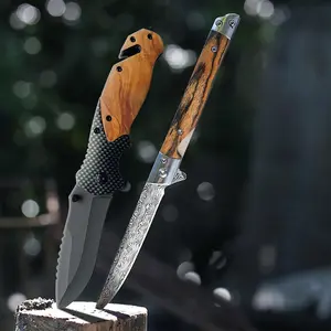 vivicreate Stainless Steel Pocket Knives, 2-Piece Set, Wood and Carbon Fiber Handles